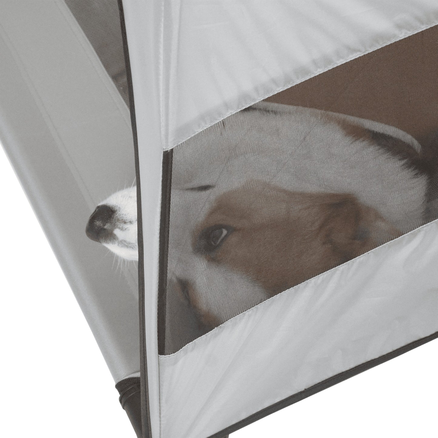 Outdoor Elevated Dog Bed with Sunshade Canopy – Waterproof, Anti-Moisture Tent Dog Bed for Spring &amp; Summer | Raised Pet Cot for Large Dogs, Travel &amp; Camping