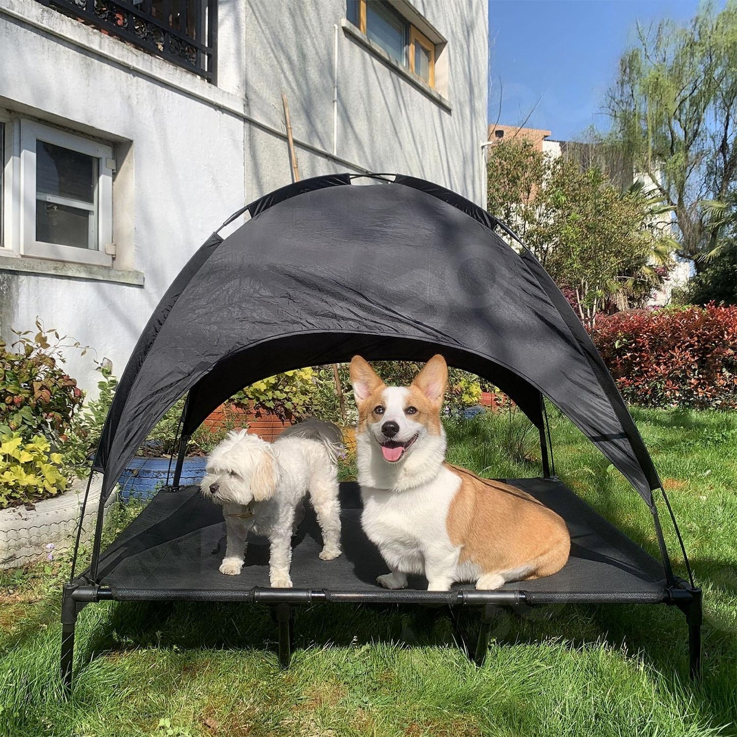 Outdoor Elevated Pet Bed with Removable Sunshade & Tent Top – Waterproof Oxford Fabric for Dogs | Portable, Durable & Comfortable