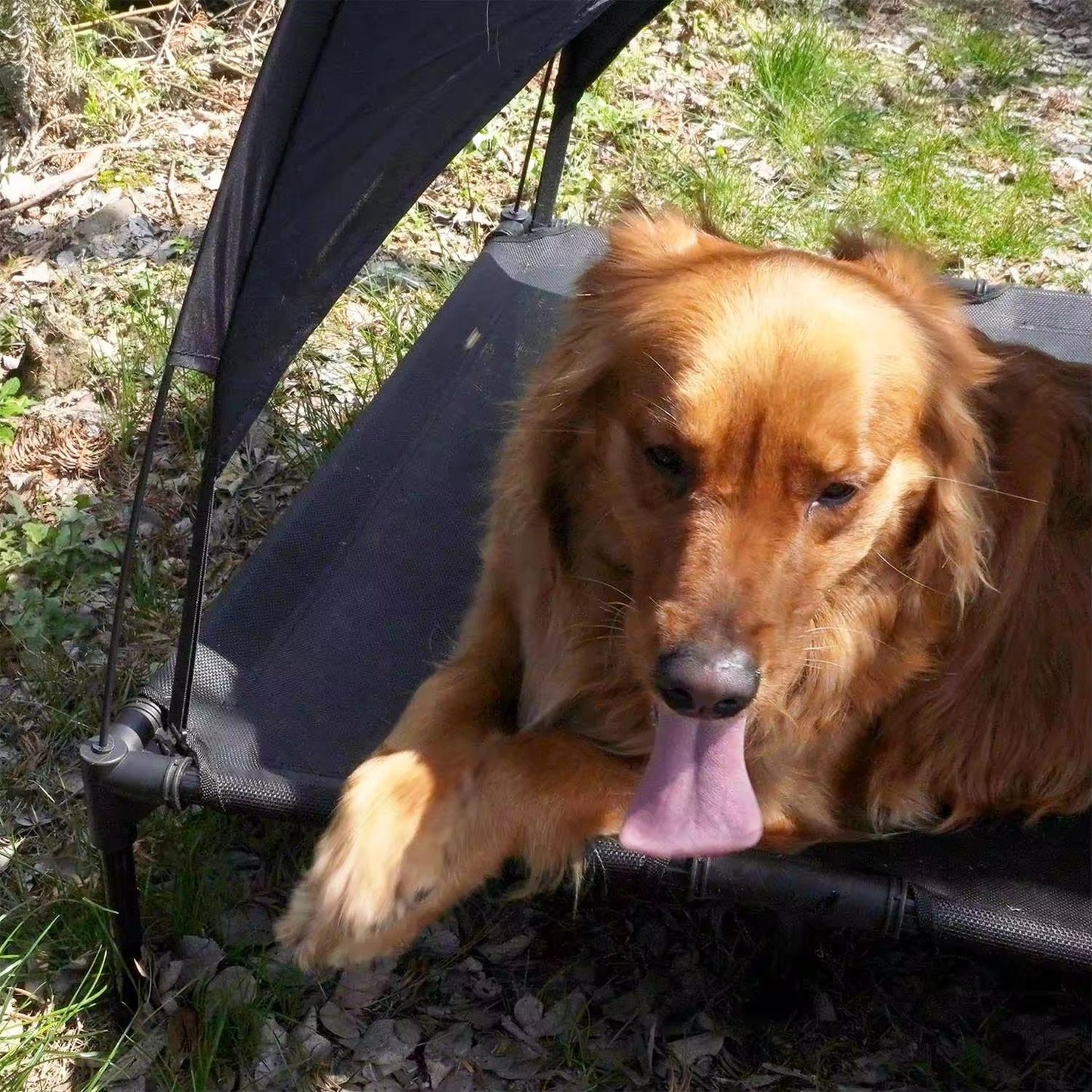 Outdoor Elevated Pet Bed with Removable Sunshade & Tent Top – Waterproof Oxford Fabric for Dogs | Portable, Durable & Comfortable