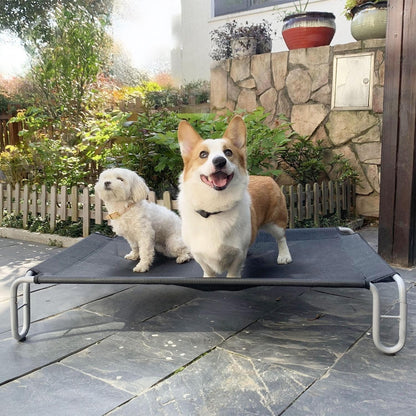 Outdoor Elevated Dog Bed | Waterproof & Chew-Resistant Pet Cot | Detachable Iron Frame with Teslin Mesh | Raised Cooling Dog Cot for Small, Medium & Large Dogs