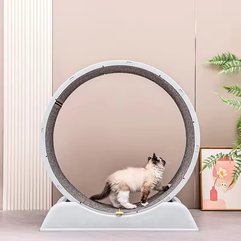 Silent Cat Exercise Wheel &amp; Dog Treadmill | Indoor Pet Fitness Running Wheel | Durable &amp; Quiet Cat Toy