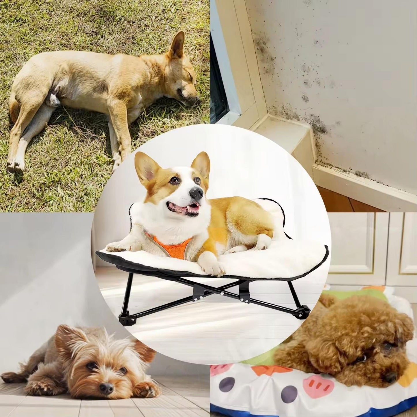 Winter Cozy Elevated Dog Bed | Portable & Foldable Plush Pet Bed | Removable & Washable for Small & Medium Dogs