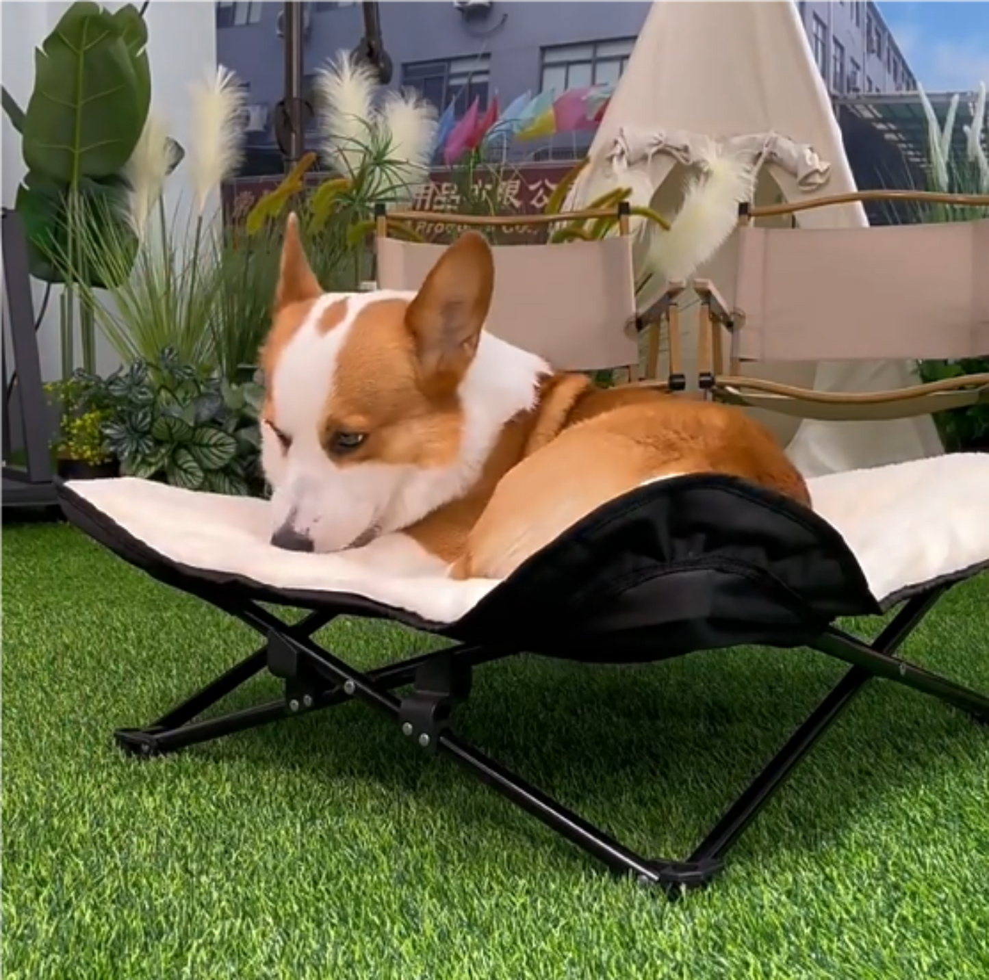 Winter Cozy Elevated Dog Bed | Portable & Foldable Plush Pet Bed | Removable & Washable for Small & Medium Dogs