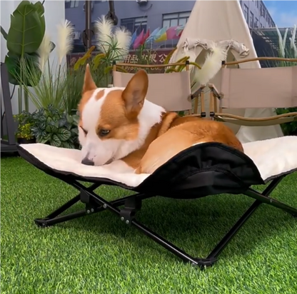 Winter Cozy Elevated Dog Bed | Portable & Foldable Plush Pet Bed | Removable & Washable for Small & Medium Dogs