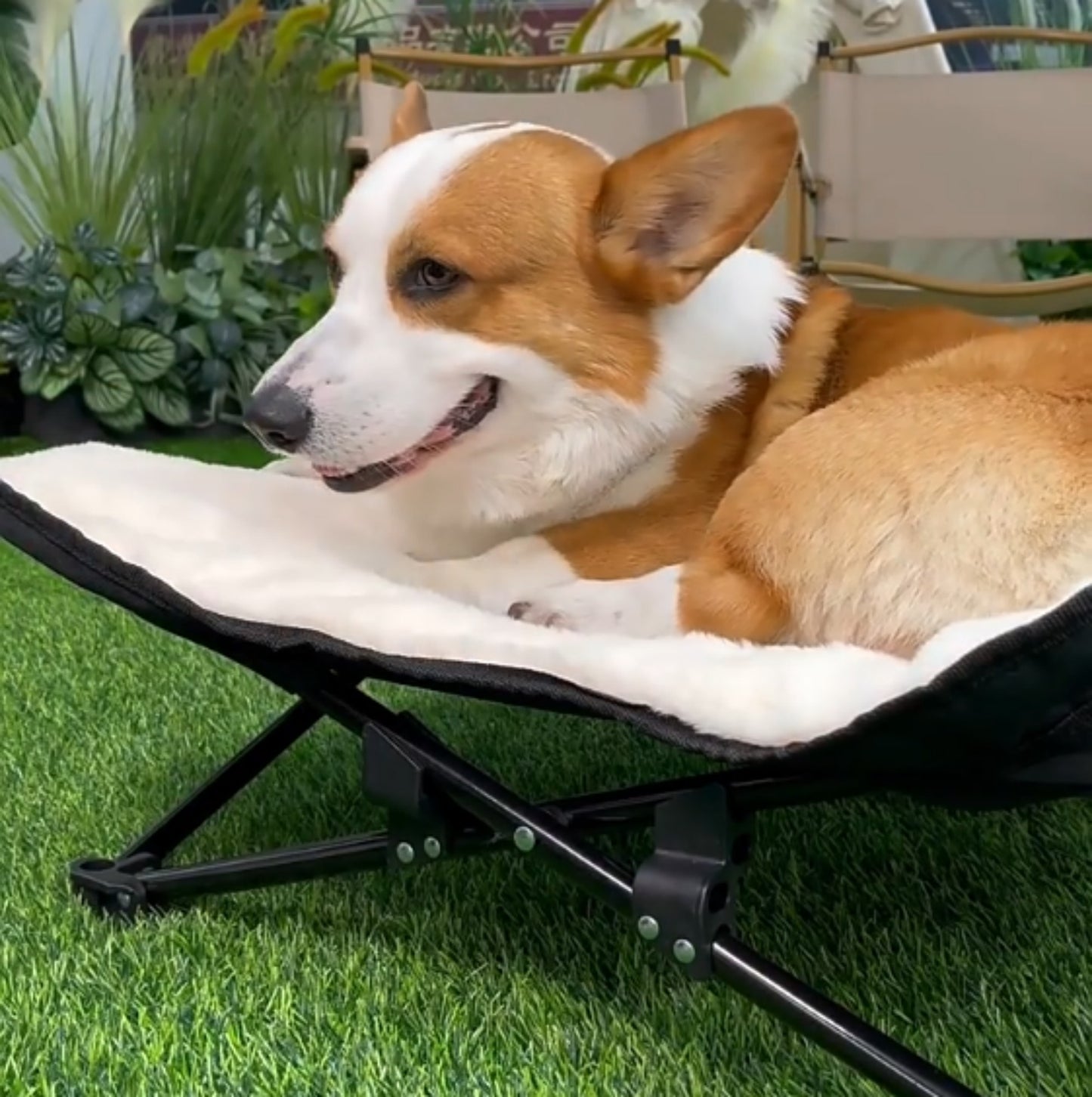 Winter Cozy Elevated Dog Bed | Portable & Foldable Plush Pet Bed | Removable & Washable for Small & Medium Dogs