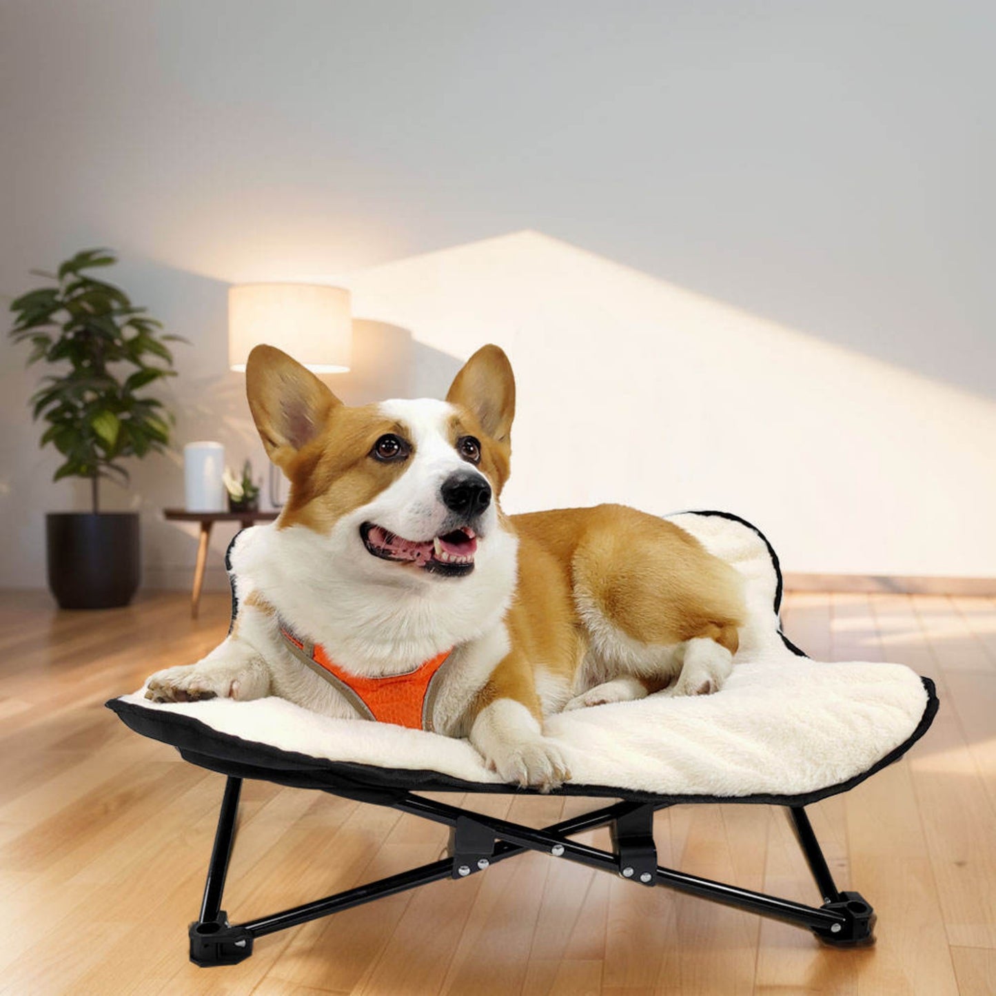 Winter Cozy Elevated Dog Bed | Portable & Foldable Plush Pet Bed | Removable & Washable for Small & Medium Dogs