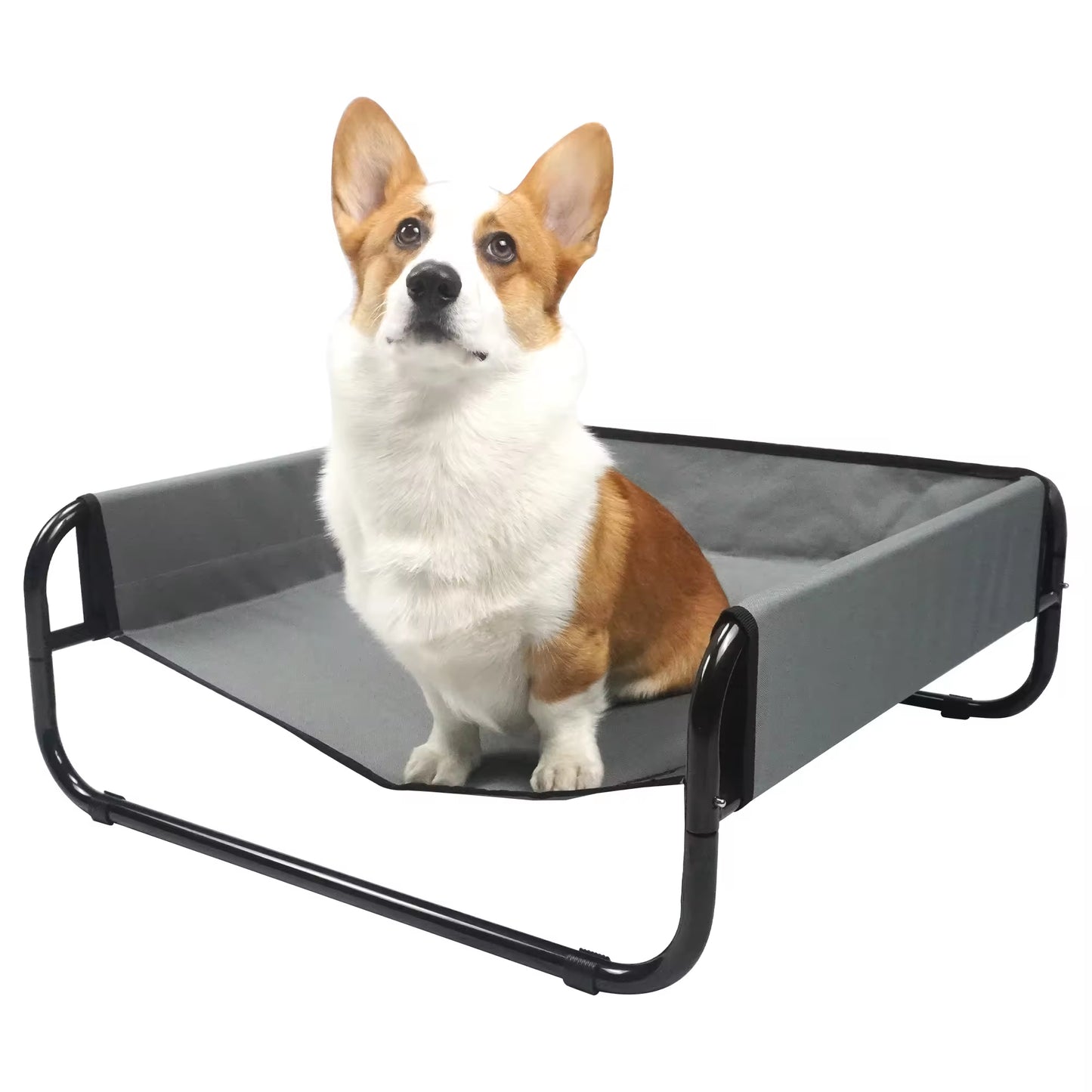 Sofa-Style Elevated Dog Bed | All-Season Oxford Fabric Pet Cot | Raised Camping Dog Lounger for Medium & Large Dogs