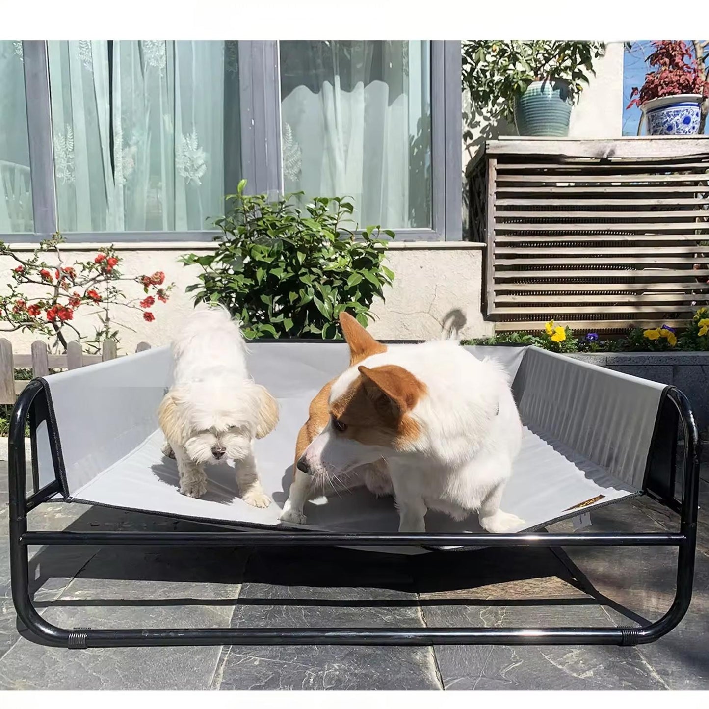Sofa-Style Elevated Dog Bed | All-Season Oxford Fabric Pet Cot | Raised Camping Dog Lounger for Medium & Large Dogs