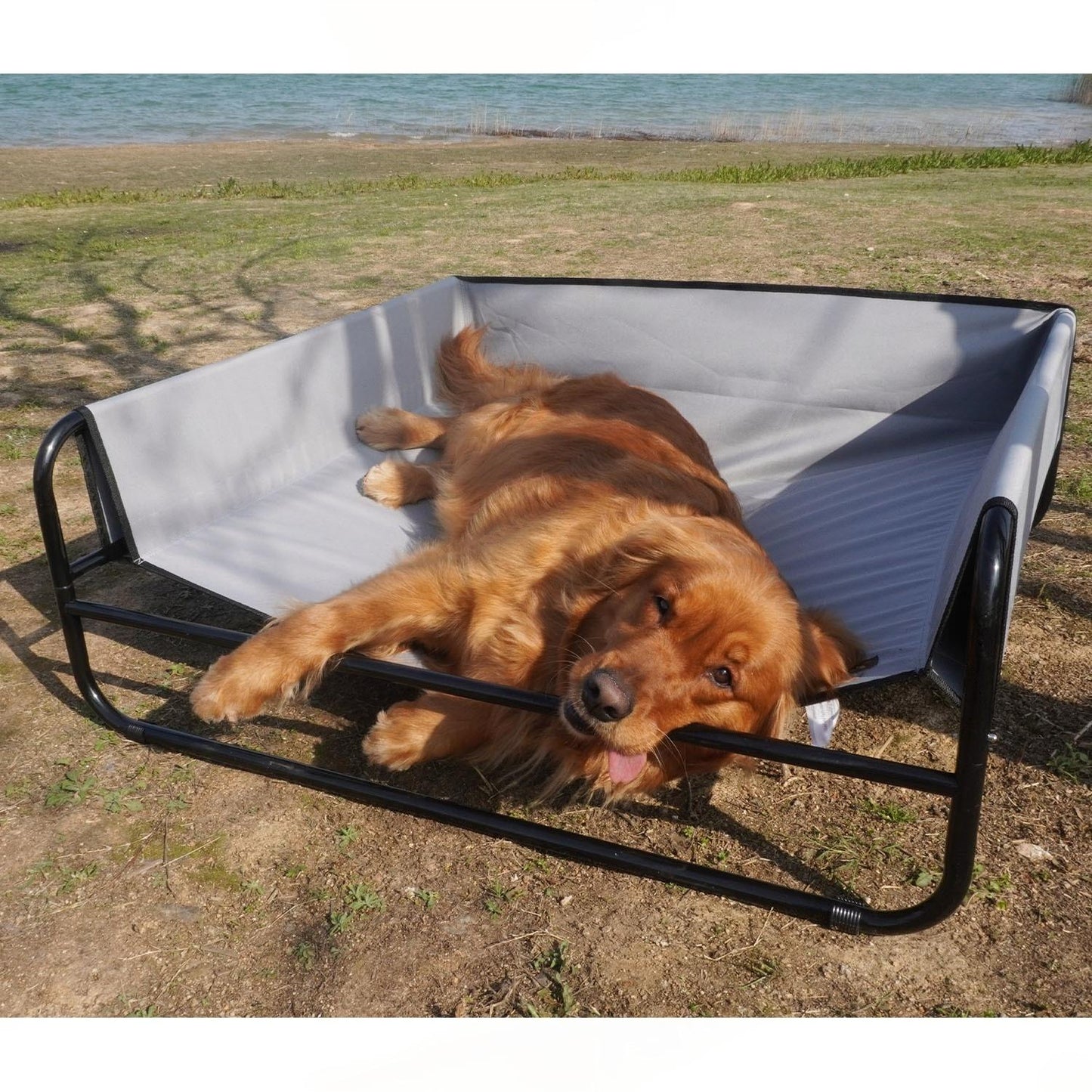 Sofa-Style Elevated Dog Bed | All-Season Oxford Fabric Pet Cot | Raised Camping Dog Lounger for Medium & Large Dogs