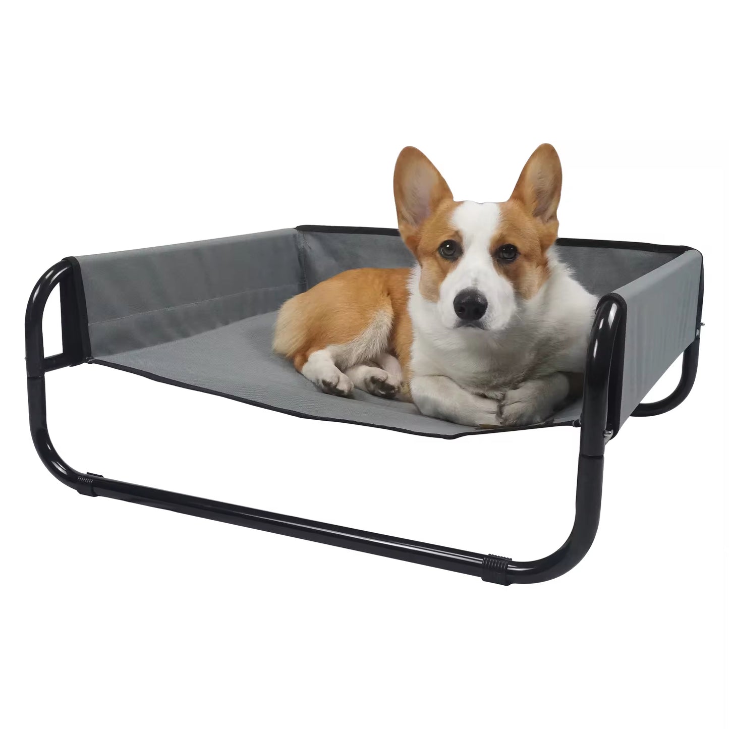 Sofa-Style Elevated Dog Bed | All-Season Oxford Fabric Pet Cot | Raised Camping Dog Lounger for Medium & Large Dogs