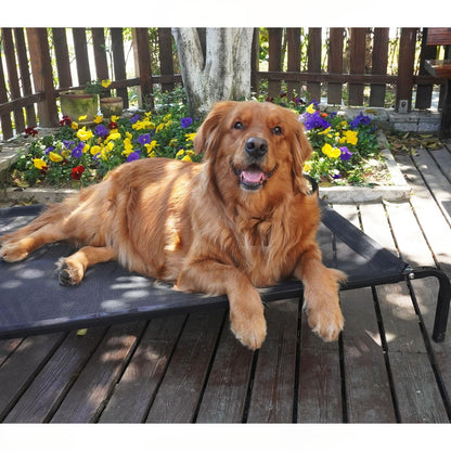 Four-Season Elevated Dog Bed | Chew-Resistant, Breathable & Washable Raised Pet Cot for Large Dogs | Waterproof & Anti-Slip Outdoor Pet Bed