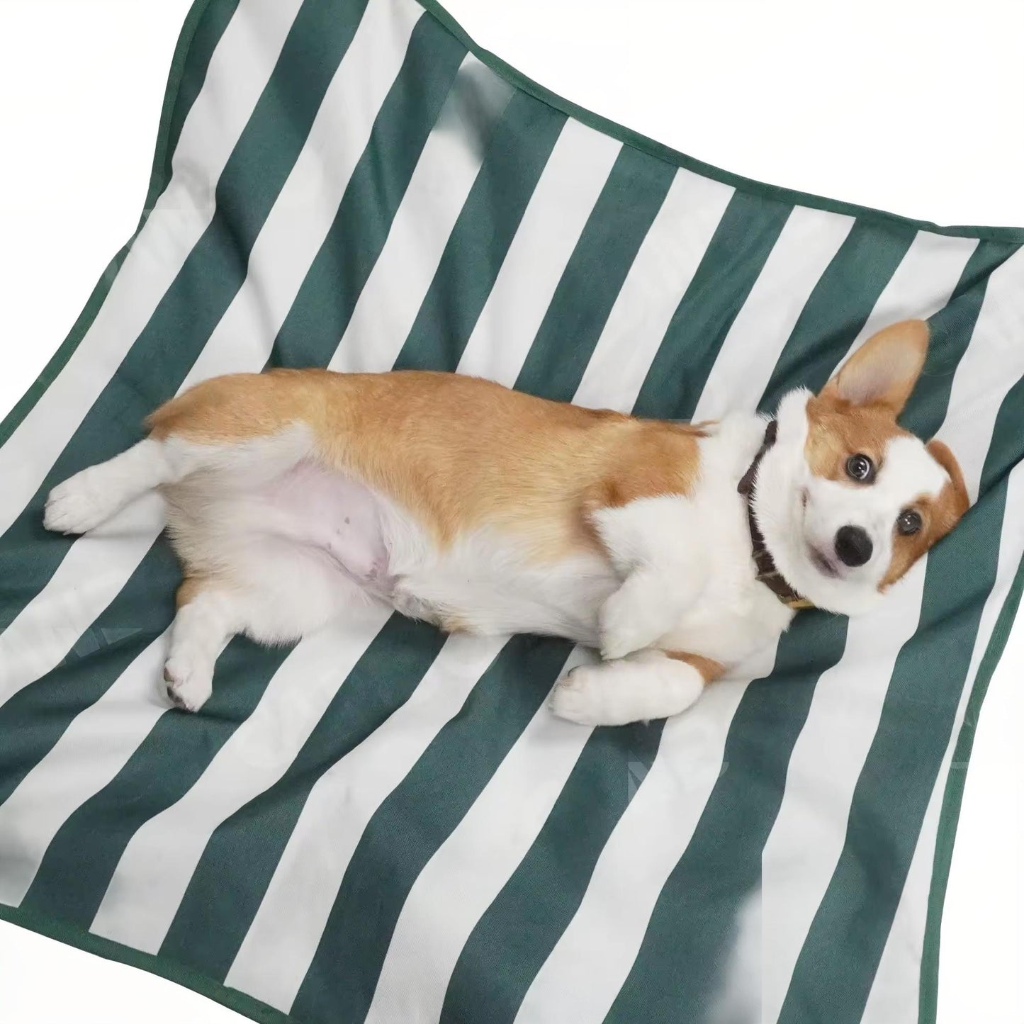 Foldable Elevated Pet Bed for Fall & Winter | Waterproof, Warm, Anti-Slip High Frame Dog Bed