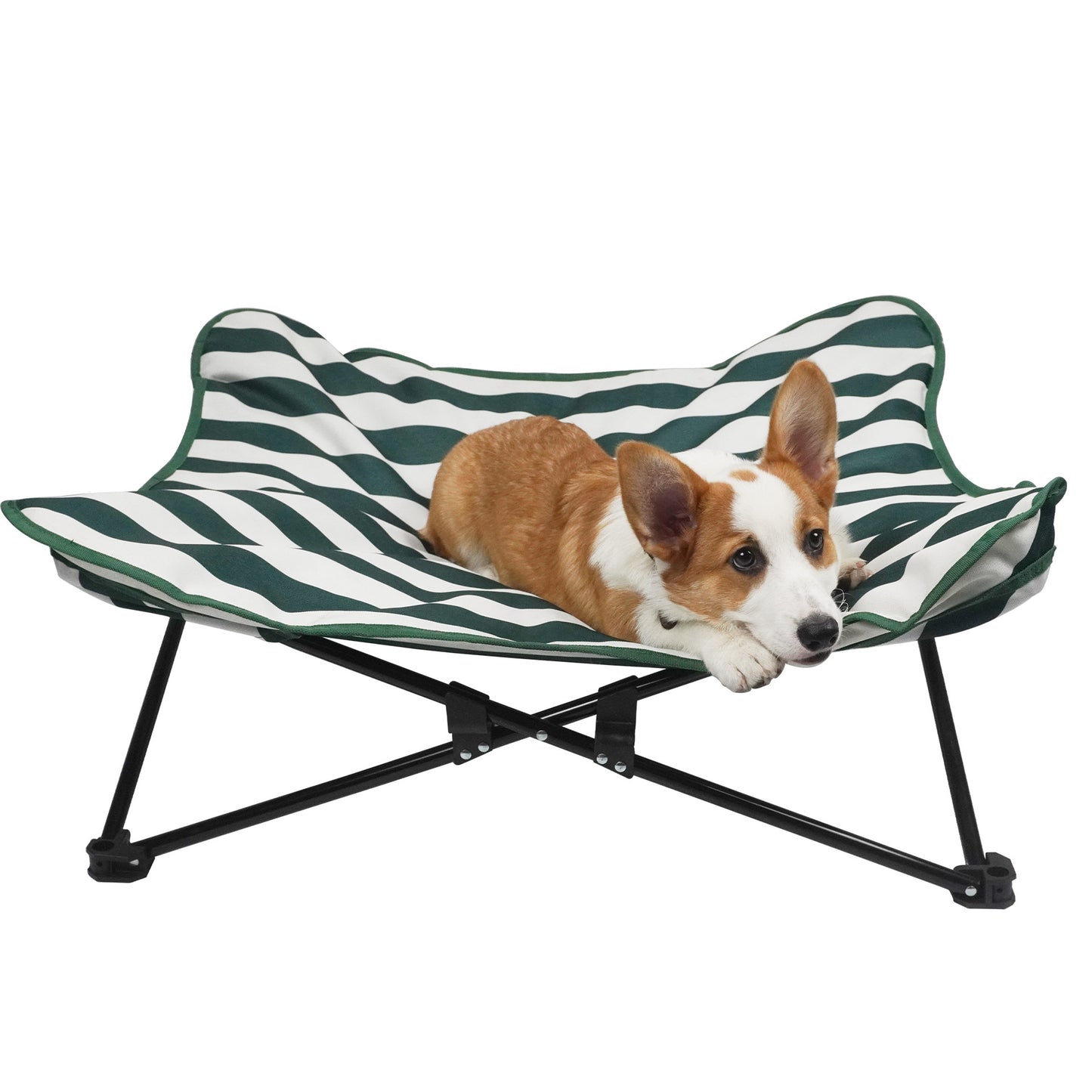 Foldable Elevated Pet Bed for Fall & Winter | Waterproof, Warm, Anti-Slip High Frame Dog Bed