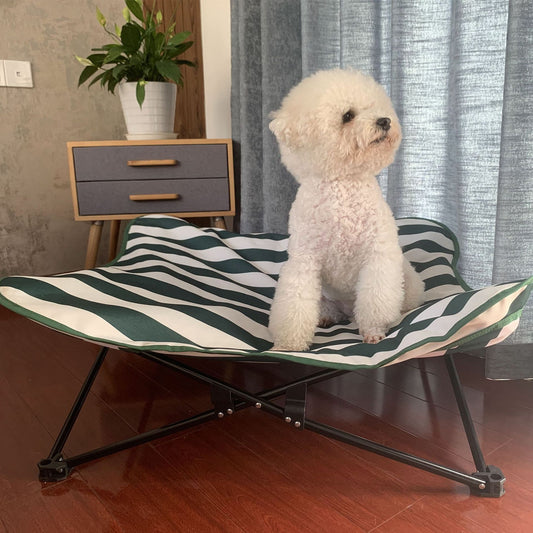 Foldable Elevated Pet Bed for Fall & Winter | Waterproof, Warm, Anti-Slip High Frame Dog Bed