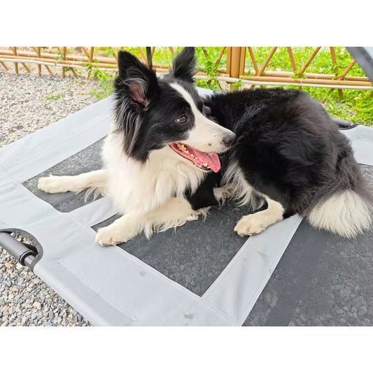 Summer Outdoor Elevated Dog Bed | Breathable Metal Frame Pet Cot | Detachable Cooling Raised Dog Bed for Medium & Large Dogs