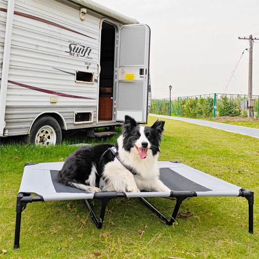 Summer Outdoor Elevated Dog Bed | Breathable Metal Frame Pet Cot | Detachable Cooling Raised Dog Bed for Medium & Large Dogs