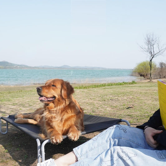 Outdoor Elevated Dog Bed | Waterproof & Chew-Resistant Pet Cot | Detachable Iron Frame with Teslin Mesh | Raised Cooling Dog Cot for Small, Medium & Large Dogs
