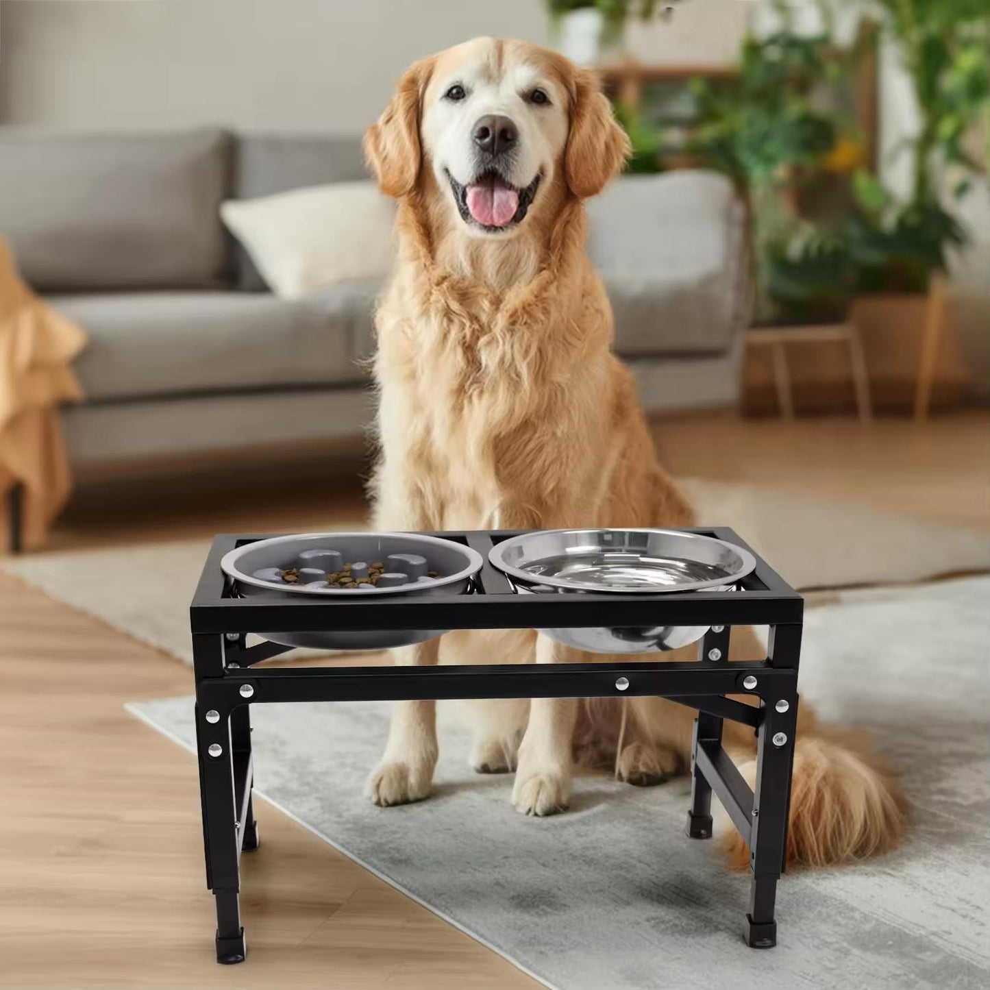 Adjustable Foldable Pet Bowl Stand | Dual Stainless Steel Bowls with Slow Feed Feature | Height Adjustable Iron Frame | Easy to Clean