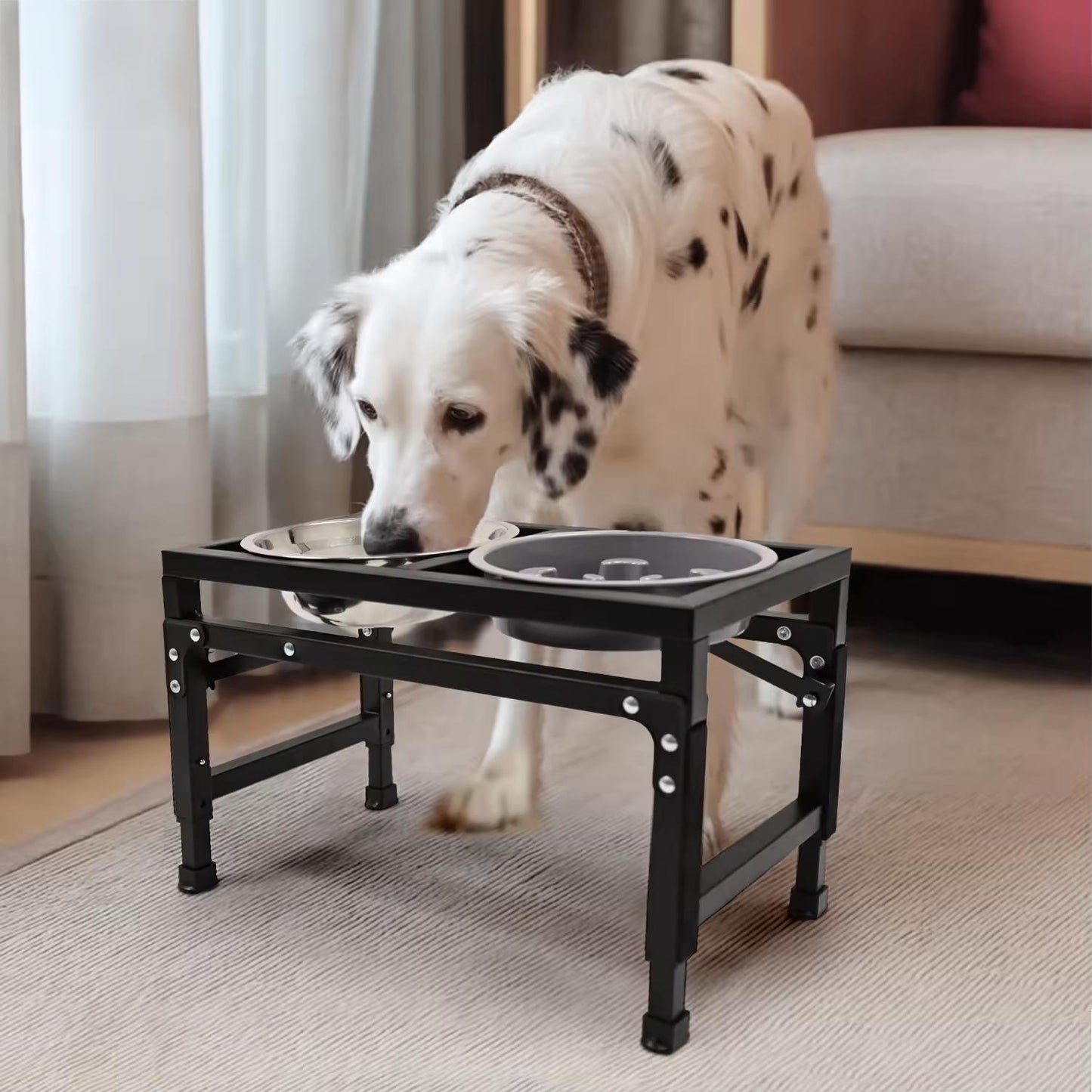 Adjustable Foldable Pet Bowl Stand | Dual Stainless Steel Bowls with Slow Feed Feature | Height Adjustable Iron Frame | Easy to Clean
