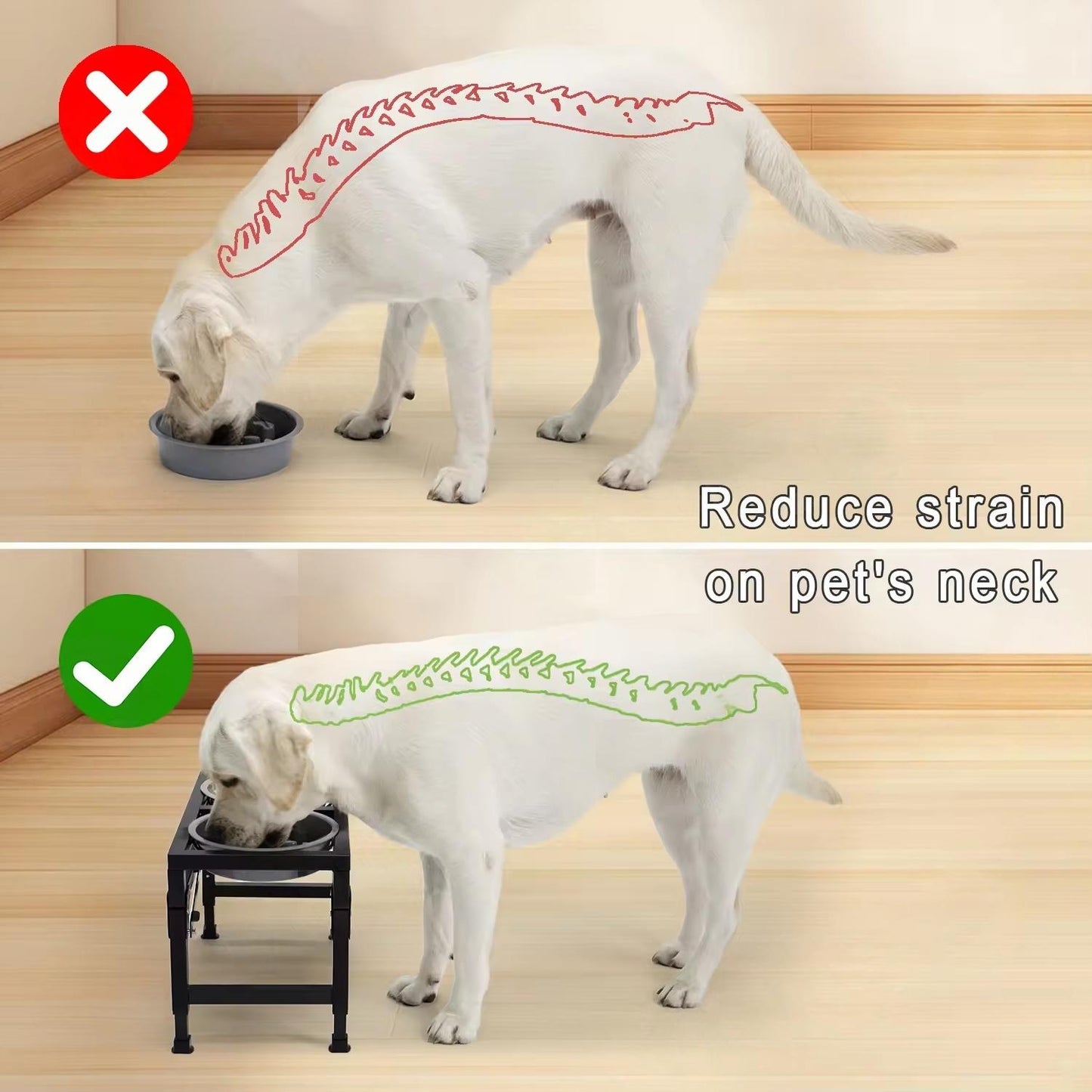 Adjustable Foldable Pet Bowl Stand | Dual Stainless Steel Bowls with Slow Feed Feature | Height Adjustable Iron Frame | Easy to Clean