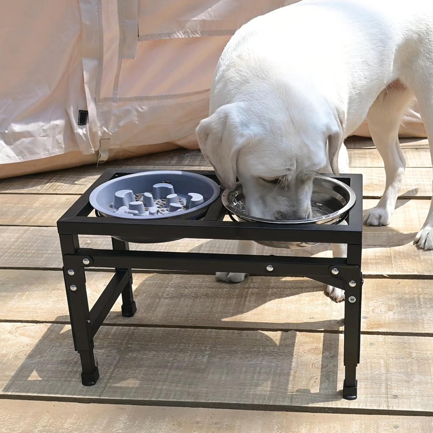 Adjustable Foldable Pet Bowl Stand | Dual Stainless Steel Bowls with Slow Feed Feature | Height Adjustable Iron Frame | Easy to Clean