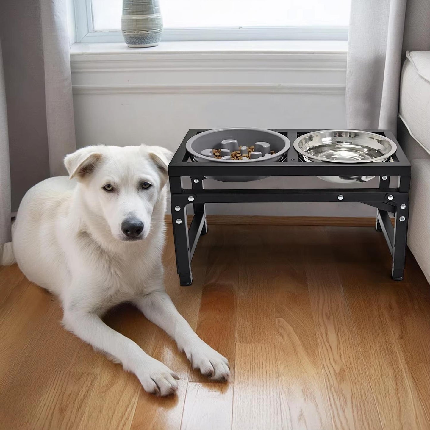 Adjustable Foldable Pet Bowl Stand | Dual Stainless Steel Bowls with Slow Feed Feature | Height Adjustable Iron Frame | Easy to Clean