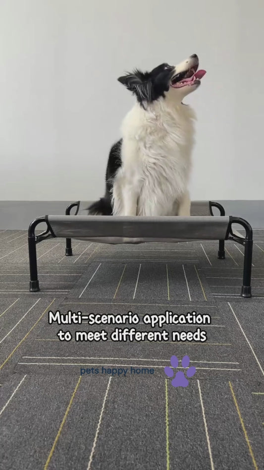 Durable Iron Frame Elevated Pet Bed | Tear-Resistant Textiline Fabric for Large Dogs | Elevated Outdoor Pet Bed