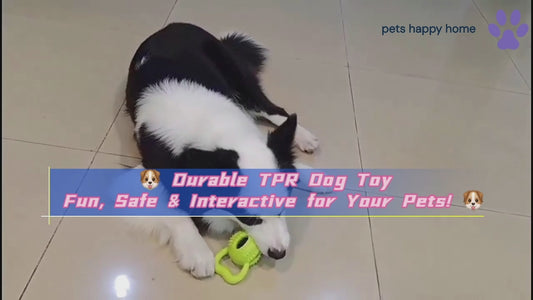 Durable TPR Dog Toy with Pull Ring | Interactive Chew & Treat Dispensing Cheese Ball | Dental Care & IQ Training for Dogs