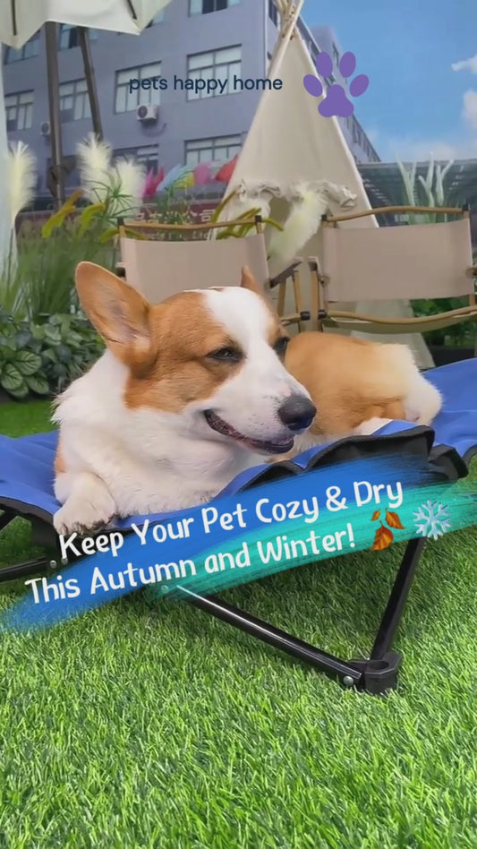 Foldable Elevated Pet Bed for Autumn &amp; Winter | Waterproof, Moisture-Proof, Portable High Frame Dog Bed