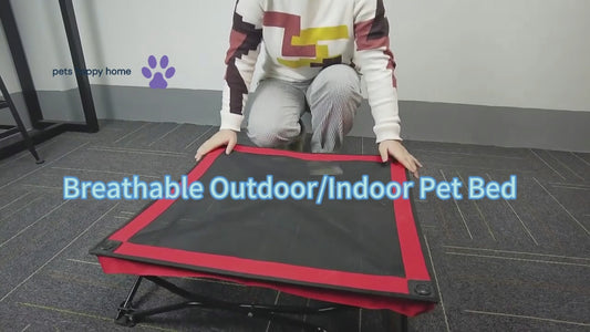 Breathable Summer Pet Bed for Small & Medium Dogs | Foldable, Waterproof, & Anti-Slip Dog Camping Bed for Indoor & Outdoor Use