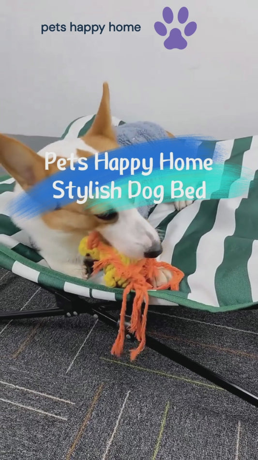 Foldable Elevated Pet Bed for Fall & Winter | Waterproof, Warm, Anti-Slip High Frame Dog Bed