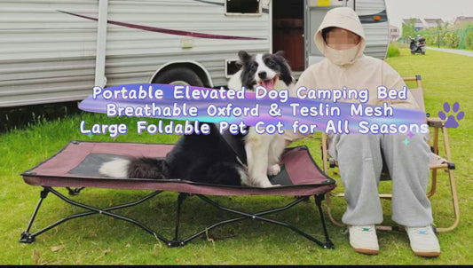 All-Season Elevated Dog Camping Bed | Foldable Breathable Outdoor Pet Cot with Teslin Mesh & Oxford Fabric for Large Dogs