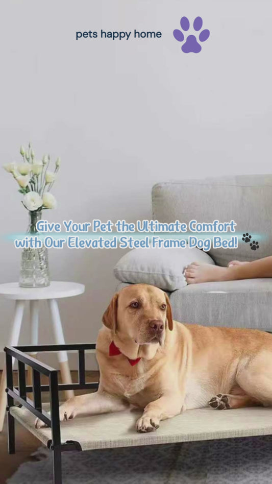 Elevated Steel Frame Dog Bed | Waterproof, Breathable, Durable, and Easy to Clean | Outdoor & Indoor Pet Bed for Dogs