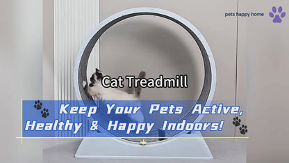 Silent Cat Exercise Wheel &amp; Dog Treadmill | Indoor Pet Fitness Running Wheel | Durable &amp; Quiet Cat Toy