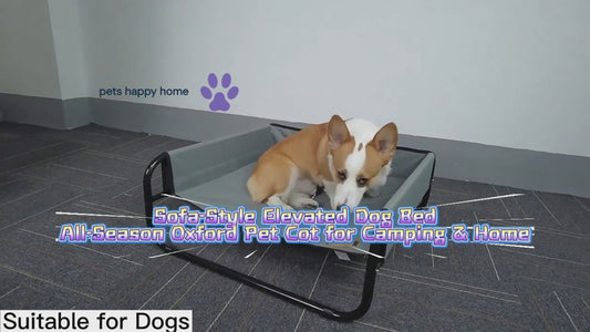 Sofa-Style Elevated Dog Bed | All-Season Oxford Fabric Pet Cot | Raised Camping Dog Lounger for Medium & Large Dogs