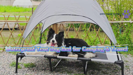 Outdoor Elevated Pet Bed with Removable Sunshade & Tent Top – Waterproof Oxford Fabric for Dogs | Portable, Durable & Comfortable